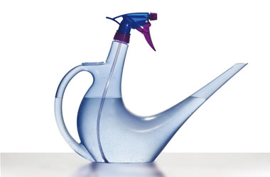 Sprayman Two in One Watering Can