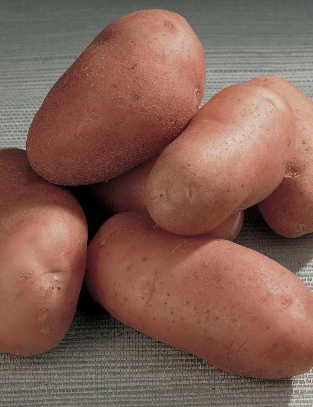 Red Potato 'Ruby Lou'