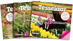 Tessealaar_magazines