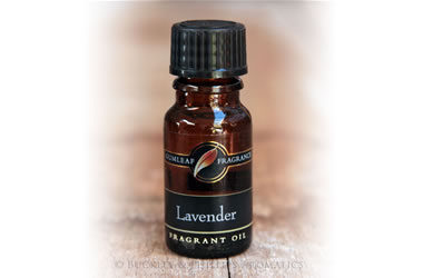 Gumleaf Fragrant Oil Lavender