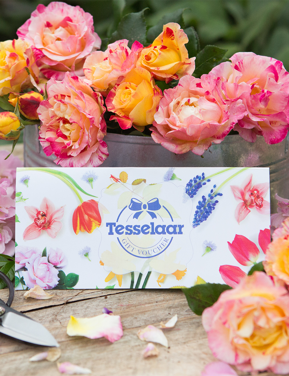 Tesselaar Gift Voucher