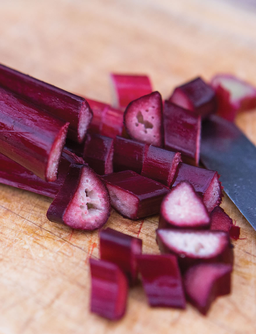 Rhubarb Cherry Baby