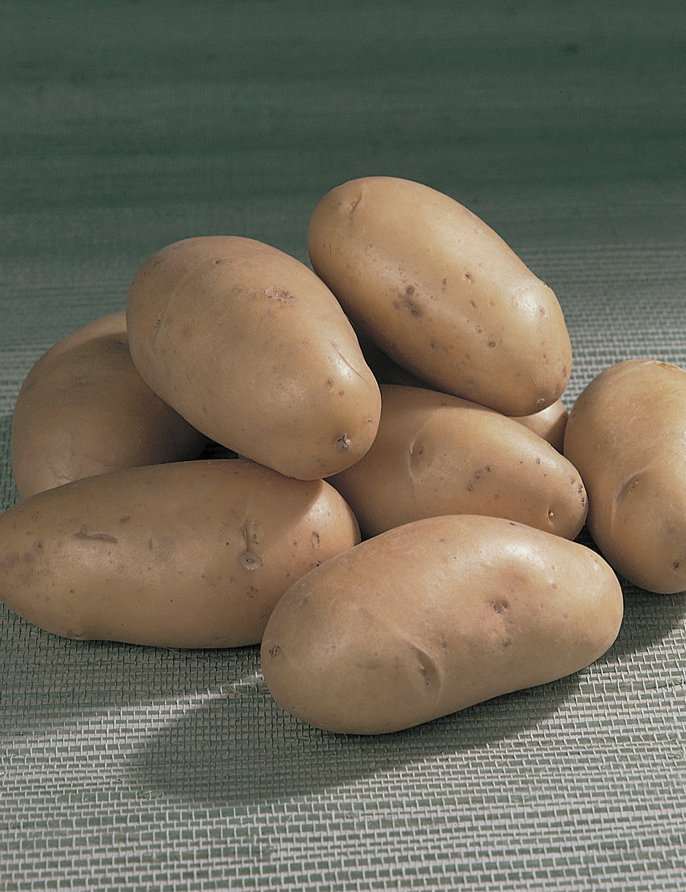 Yellow Potato 'Mayflower'