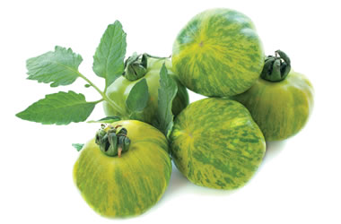 Tomatoes Green Zebra