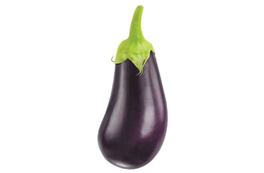 Eggplant Bonica