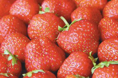 Japanese Strawberries Hokowase