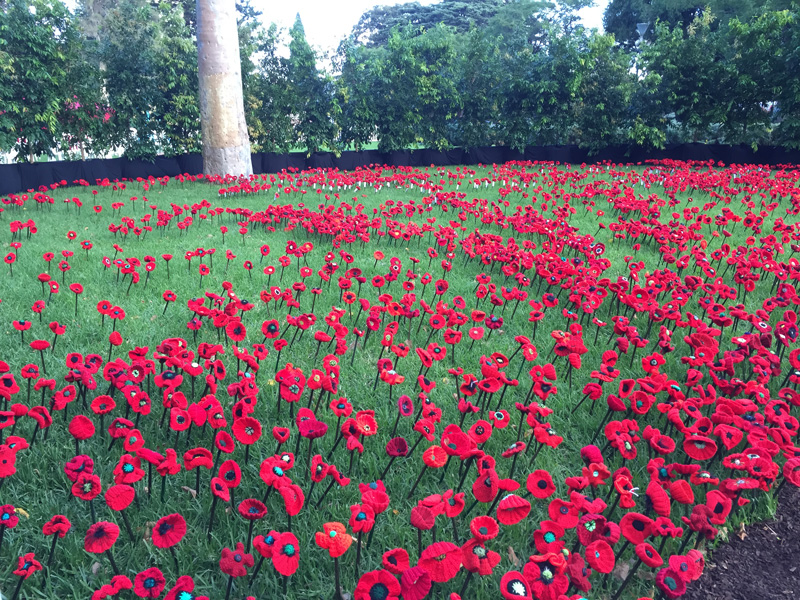 Poppies Melbourne Flower Show